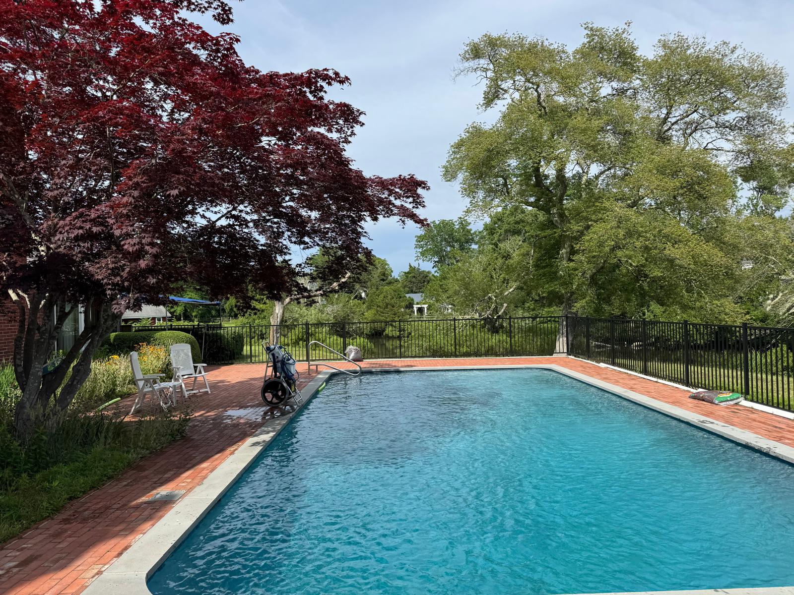 Finished pool setting with clean water